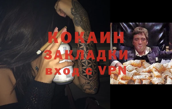 твердый Алзамай