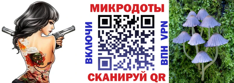 мориарти как зайти  blacksprut онион  Наволоки  Псилоцибиновые грибы MAGIC MUSHROOMS 